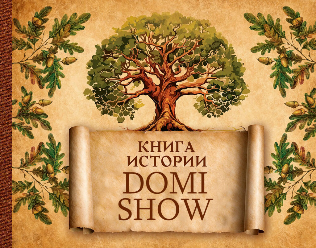 История вселенной Domi show